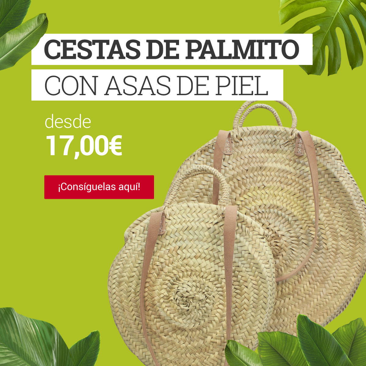 Cestas redondas por 15€ en tienda online VENTAJON.